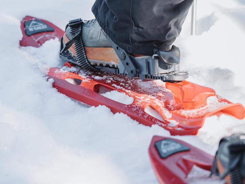 schneeschuhwandern-taistner-alm-tg-gsiesertal-lmg-media[2]